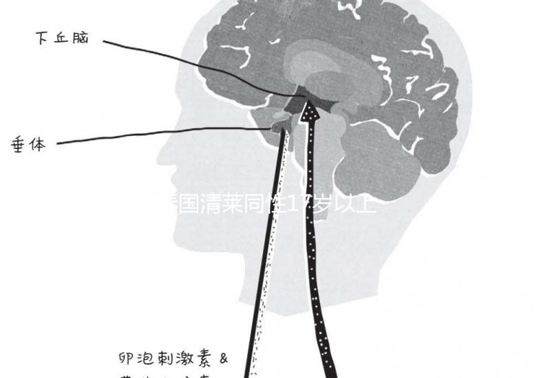泰國(guó)清萊同性17歲以上便能結(jié)婚,在國(guó)內(nèi)承不承認(rèn)進(jìn)來看