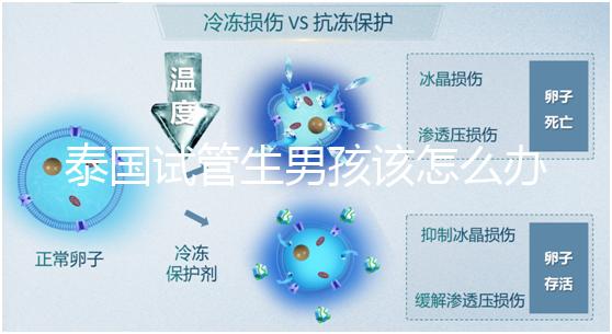 泰國(guó)試管生男孩該怎么辦？詳細(xì)助孕流程快速收集