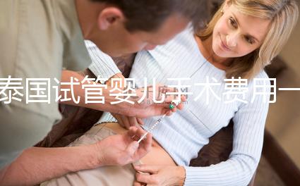 泰國(guó)試管嬰兒手術(shù)費(fèi)用一覽，2025年價(jià)格行情