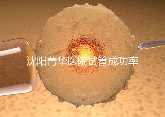沈陽菁華醫院試管成功率高嗎？教你4招提升胚胎著床機會