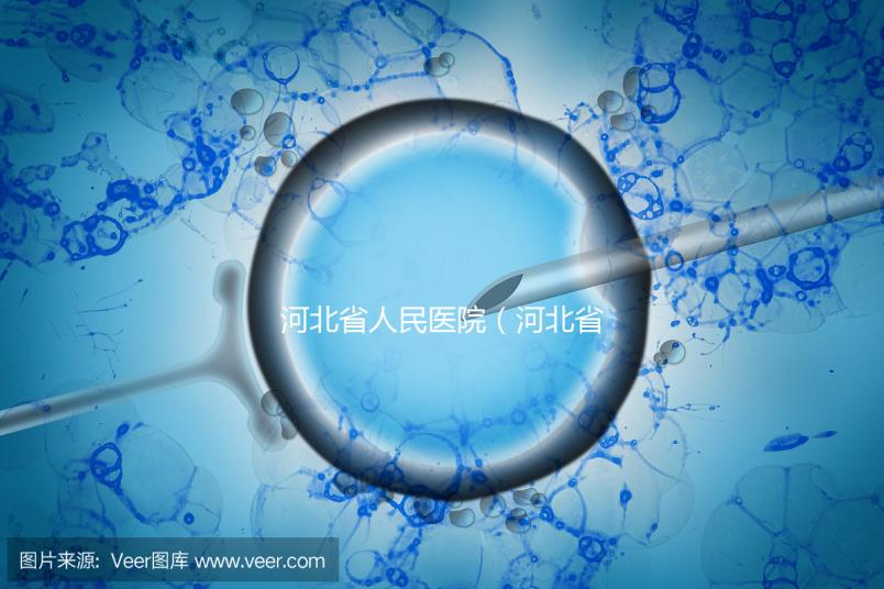 河北省人民醫(yī)院（河北省人民醫(yī)院官網(wǎng)）