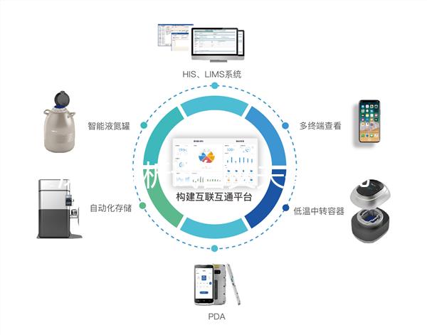 深入分析試管丈夫排精幾天后取卵正常，找到正確的時間更容易懷孕