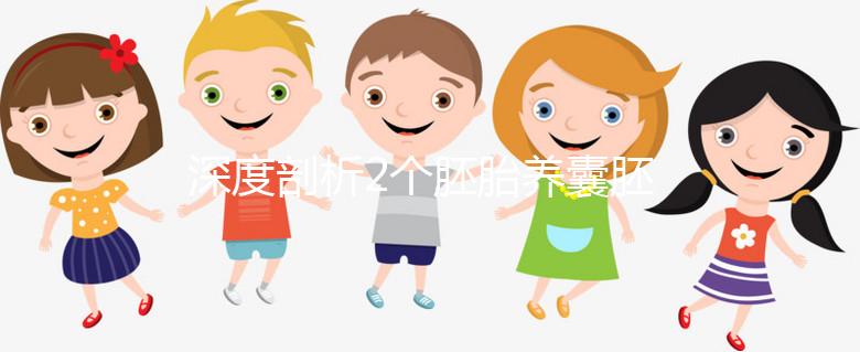 深度剖析2個胚胎養囊胚的成功率，可以養成幾個一目了然