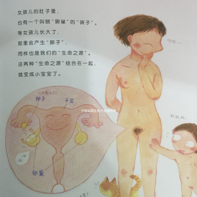 子宮縱隔生孩子會撐開系謠言!一文了解懷孕后是否會好