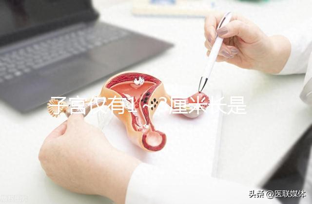 子宮僅有1～3厘米長(zhǎng)是始基子宮?細(xì)說(shuō)什么是始基子宮