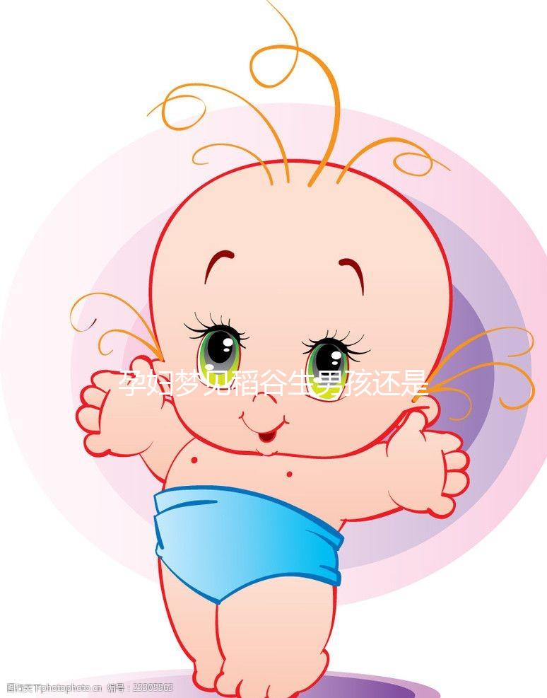 孕婦夢見稻谷生男孩還是生女孩?相關(guān)胎夢含義解讀