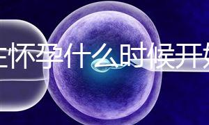 女性懷孕什么時(shí)候開(kāi)始更準(zhǔn)確？