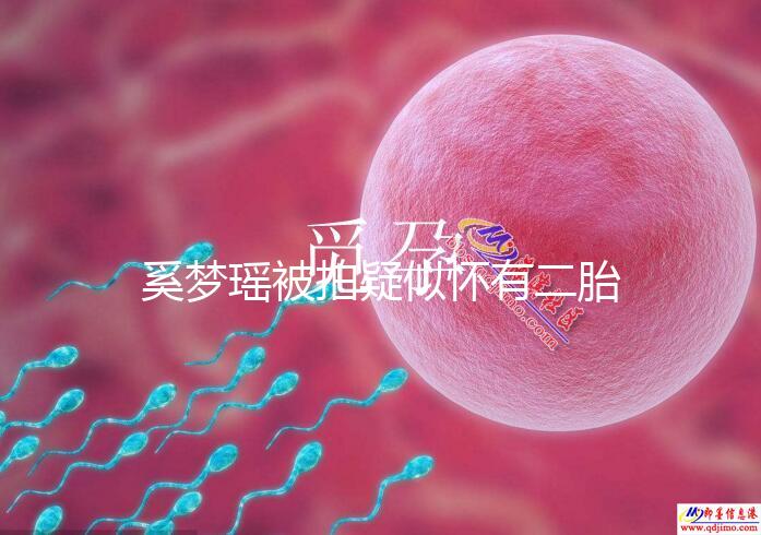 奚夢瑤被拍疑似懷有二胎，四太陪同產檢未見何猷君