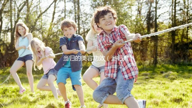 當(dāng)歸的美容功效(當(dāng)歸煮水祛斑的方法)