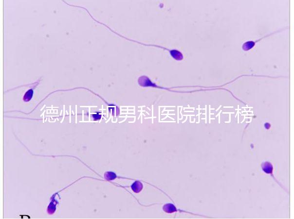 德州正規(guī)男科醫(yī)院排行榜分享！2024哪個最好一看便知