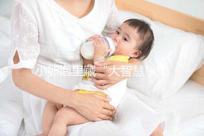 小卵泡里藏“大智慧”!這些冷知識(shí)也該知道了