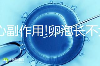 小心副作用!卵泡長不大不排卵,打HMG必須要知道的3件事