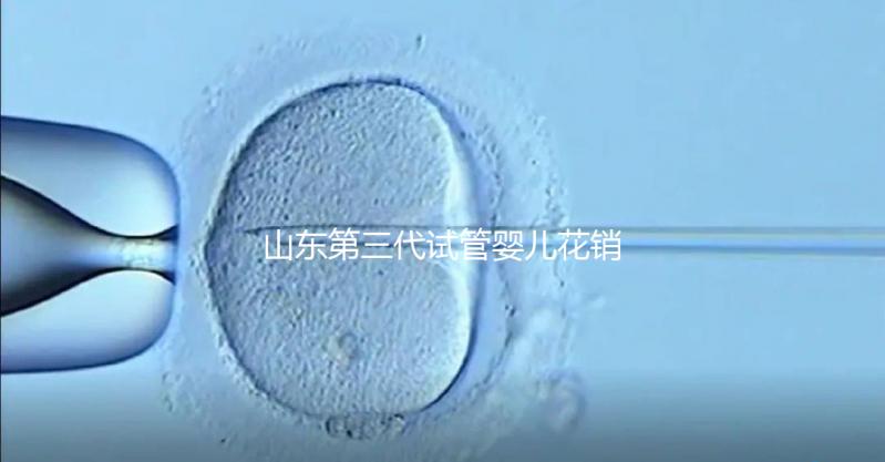山東第三代試管嬰兒花銷全解析：詳細(xì)價格一覽，輕松做好預(yù)算準(zhǔn)備