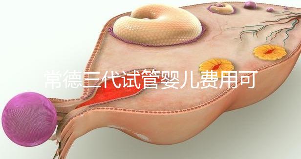 常德三代試管嬰兒費(fèi)用可以報(bào)銷嗎？內(nèi)附試管費(fèi)用明細(xì)