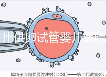 廣州供卵試管嬰兒醫院匯總，真實案例告訴你廣東哪家最好