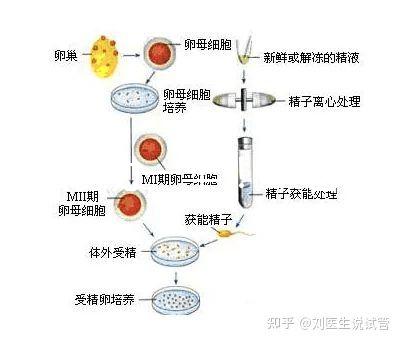 選對成功一半！來看看海南哪家醫院能做三代試管嬰兒