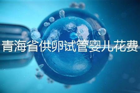 青海省供卵試管嬰兒花費明細表一覽，一次成功助孕費用最低