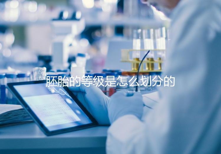 胚胎的等級是怎么劃分的？詳解3天胚胎與5天囊胚的評估標準