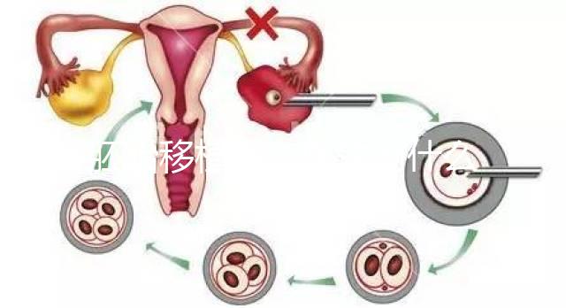 胚胎移植前，醫生為什么強調內膜厚度要達到8-12mm？
