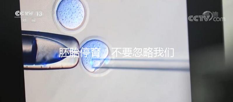胚胎停育，不要忽略我們身邊的“隱形殺手”