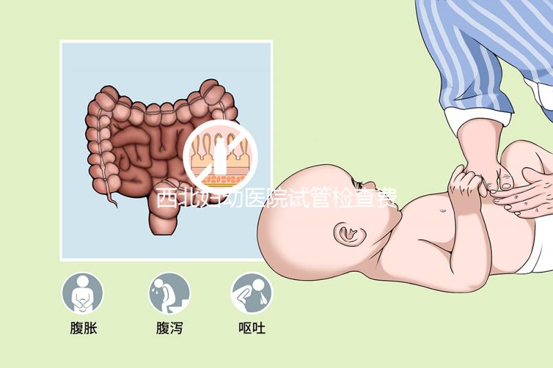 西北婦幼醫(yī)院試管檢查費(fèi)用流出!做完記得來這領(lǐng)報告單