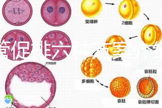 試管促排六種方案介紹，超詳細(xì)！！