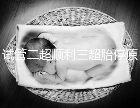 試管二超順利三超胎停原因分析，多半和保胎藥停早了有關