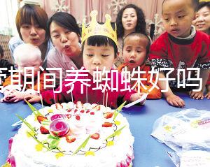 試管期間養(yǎng)蜘蛛好嗎？人們告訴你，這些影響應(yīng)該早知道