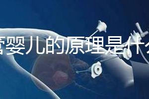 試管嬰兒的原理是什么？一代二代三代有什么區別？