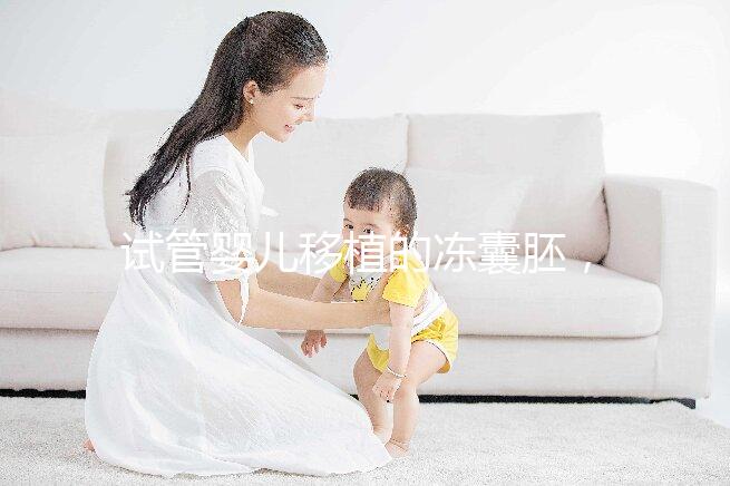 試管嬰兒移植的凍囊胚,成功率有多高?