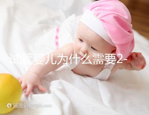 試管嬰兒為什么需要2-3個月？揭秘時間背后的科學奧秘