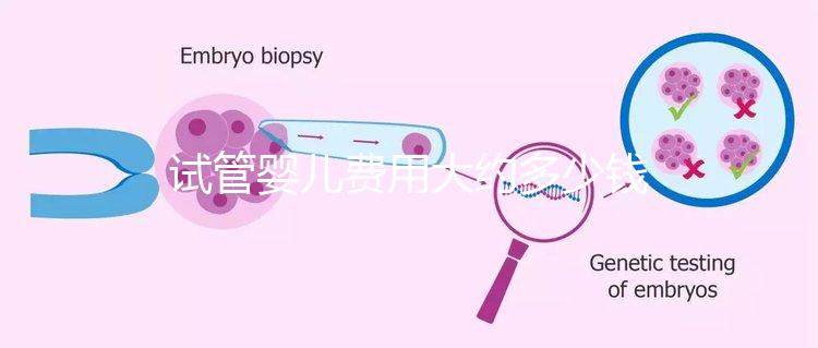 試管嬰兒費用大約多少錢?