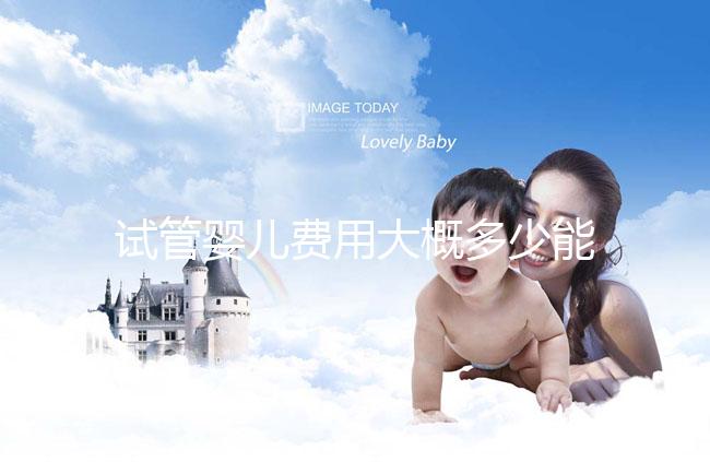 試管嬰兒費(fèi)用大概多少能報(bào)銷（試管嬰兒費(fèi)用大概多少能報(bào)銷醫(yī)保）