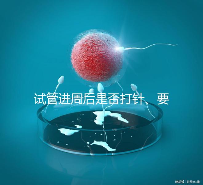 試管進(jìn)周后是否打針、要不要注射肝素60s說清,備孕的速覽