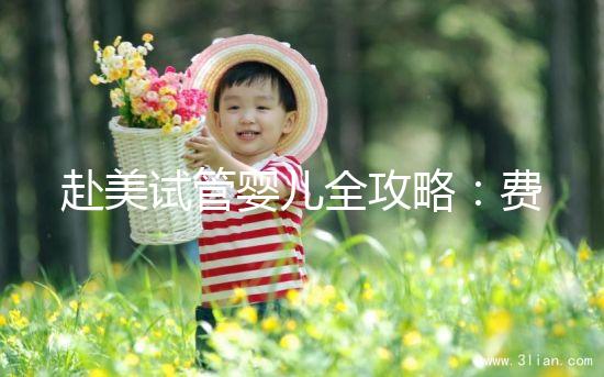 赴美試管嬰兒全攻略：費用、流程、成功率一次看懂