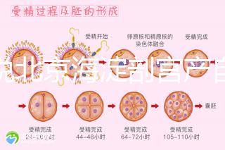 誰說北京海淀剖宮產自付費用高，了解2024年生育保險報銷比例？