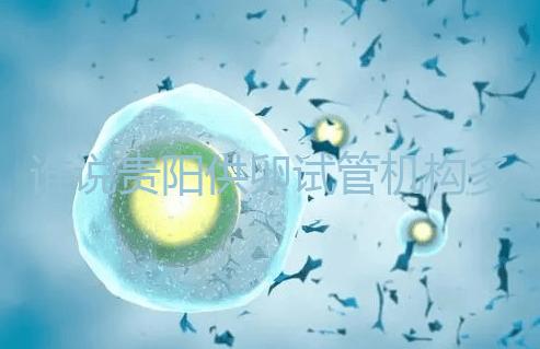 誰(shuí)說(shuō)貴陽(yáng)供卵試管機(jī)構(gòu)多給錢(qián)就不用排隊(duì)，醫(yī)生：不亂收費(fèi)