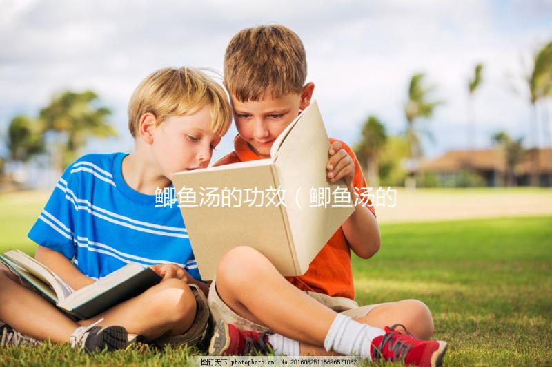 鯽魚(yú)湯的功效（鯽魚(yú)湯的功效與作用）