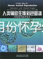 40歲幾月份懷孕生男孩？你想要的答案在生男生女清宮圖