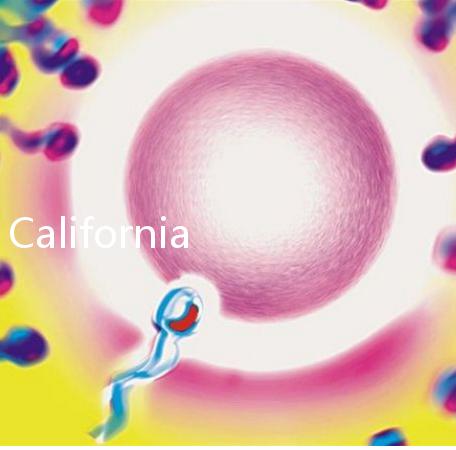 California Cryobank，加州精子銀行實(shí)用指南
