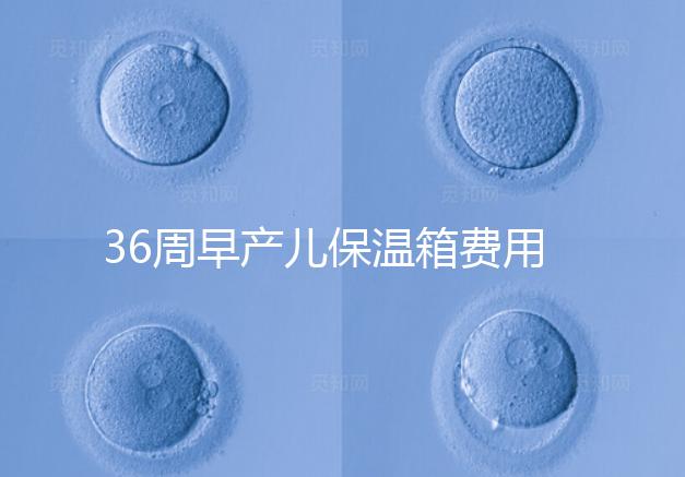 36周早產(chǎn)兒保溫箱費用整理，12天到4斤花不了多少錢