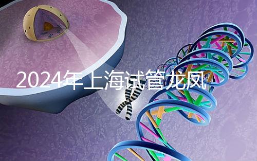 2024年上海試管龍鳳胎價格明細表公布,一次準備3萬元就夠了