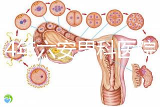 2024年六安男科醫(yī)院排名發(fā)布，裕安哪個(gè)好文件告訴答案