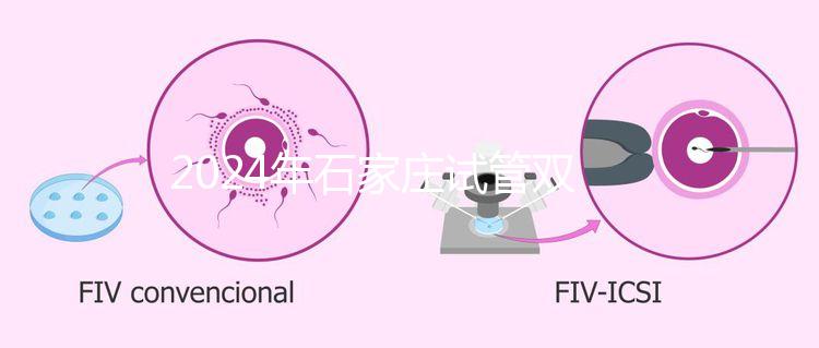 2024年石家莊試管雙胞胎醫(yī)院排名，不要錯過新華、長安