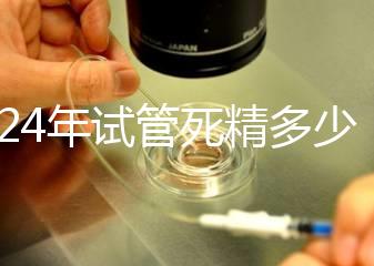 2024年試管死精多少錢？報銷政策和費用都有