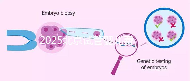 2025北京試管嬰兒費用全解析：價格明細(xì)及省錢指南