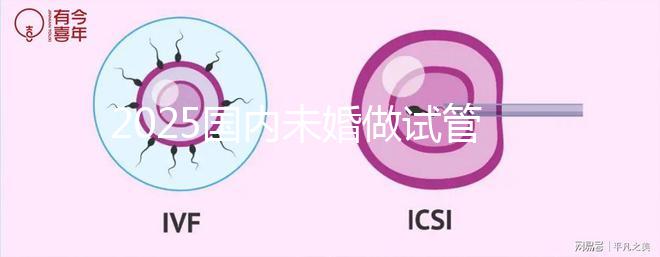 2025國內(nèi)未婚做試管嬰兒的機構都是哪些?