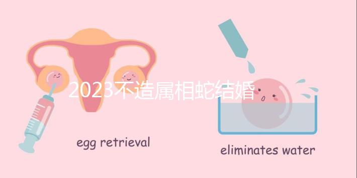 2023不造屬相蛇結(jié)婚跟什么相配？切記和屬豬易犯沖