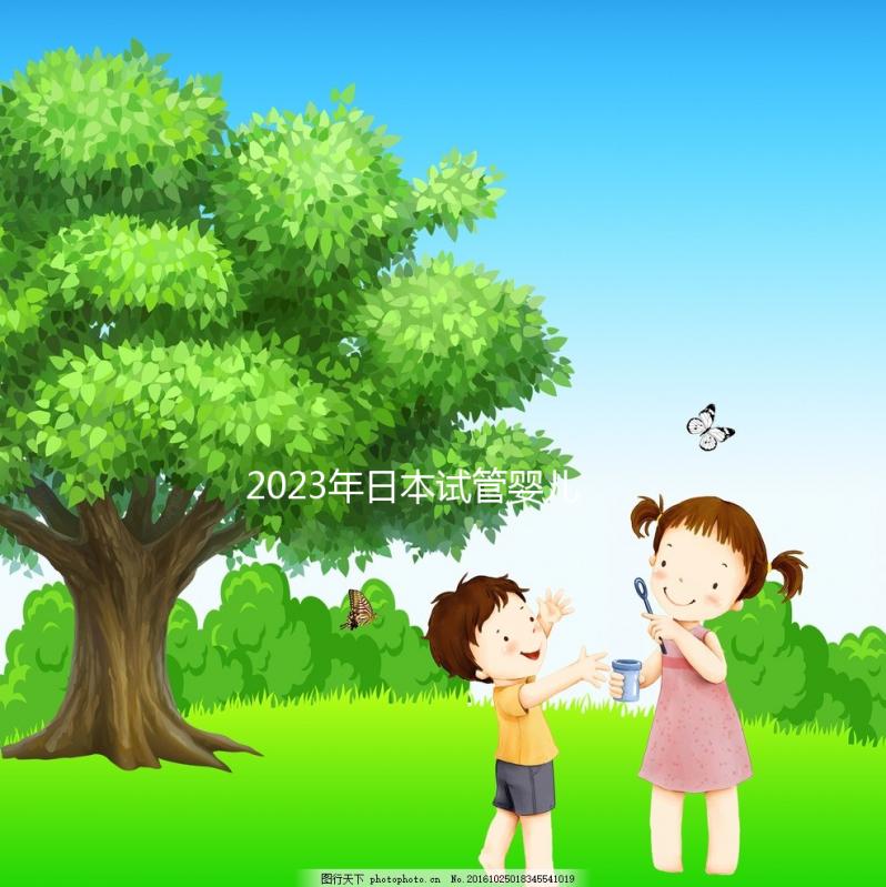 2023年日本試管嬰兒實用指南,最新費用流程與醫(yī)院成功率排名